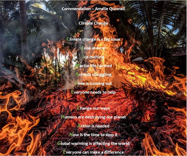 Climate Change Poetry (Year 7) CVCC