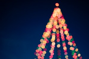 Christmas tree in lights