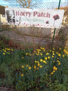Harry Patch Garden 1