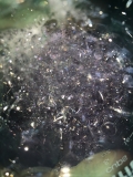 Bubbles close-up