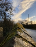 Mossy wall photograph