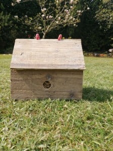 Bird House 1