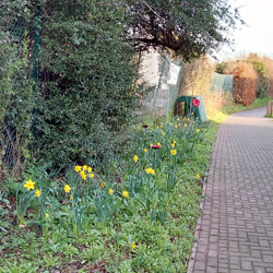IMG_20190211_081931442_HDR