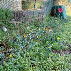IMG_20190211_081944492_HDR