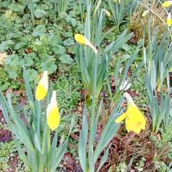 IMG_20190211_082009700_HDR