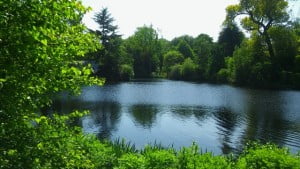 Palace pond (1)
