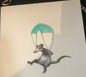 Parachuting racoon