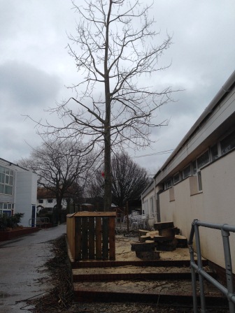 Tree1