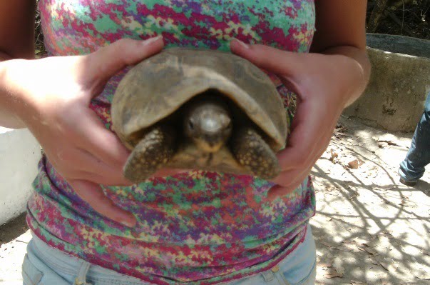Gambia10
