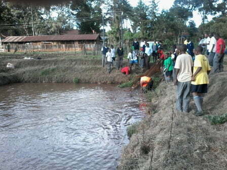 pond